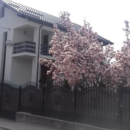 Vendégház Casa Alba Felsővisó