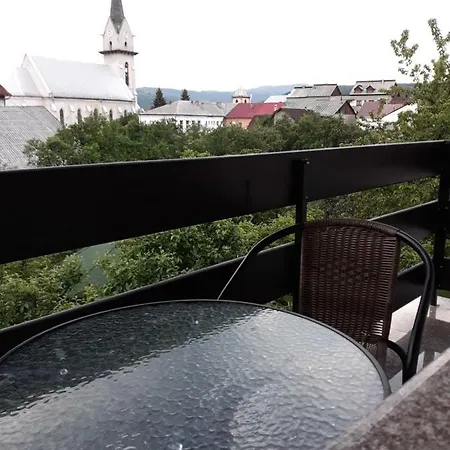 Casa Alba 3* Felsővisó