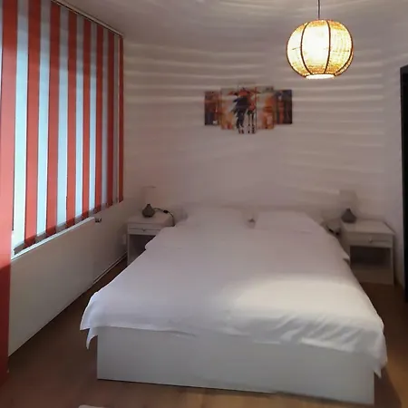 Casa Alba Vendégház Felsővisó